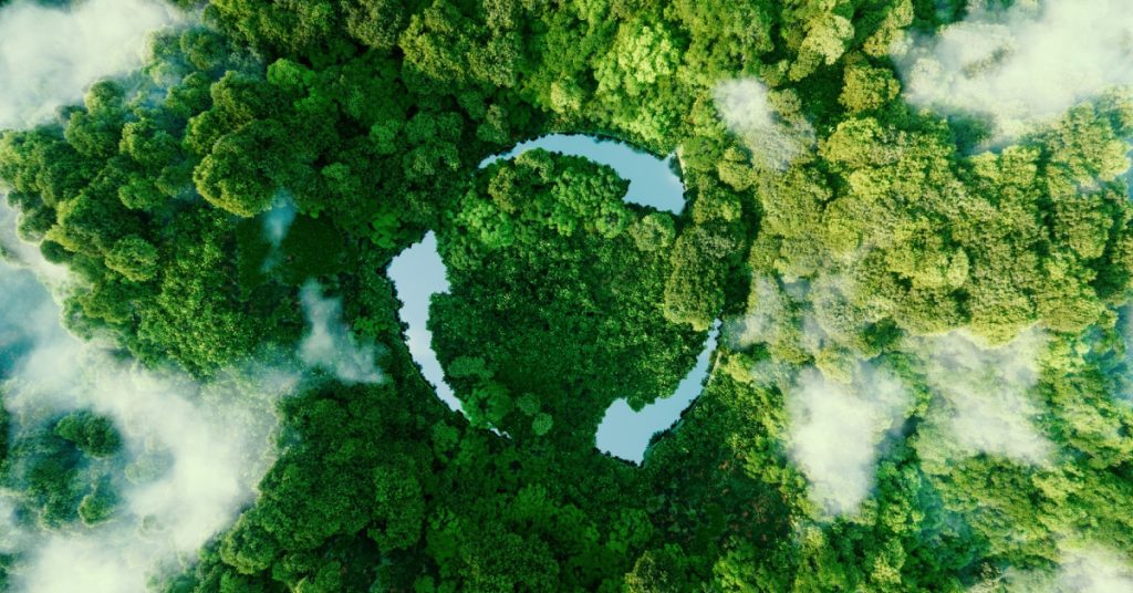 Our Mission and Impact