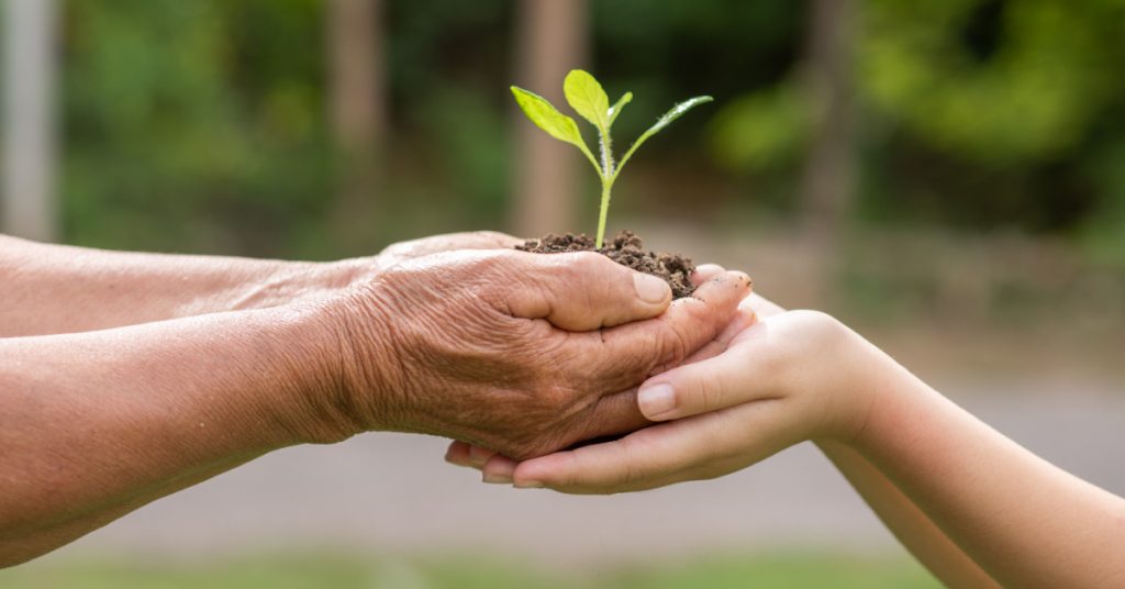 Take Action Today with myhalo